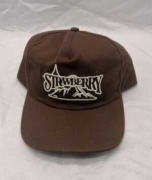 STRAWBERRY JAMS Kai Bent-Lee Hat Brown Streetwear SnapBack Hat Cap